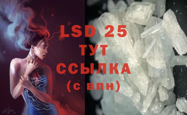 прущие грибы Верхнеуральск