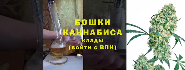 прущие грибы Верхнеуральск