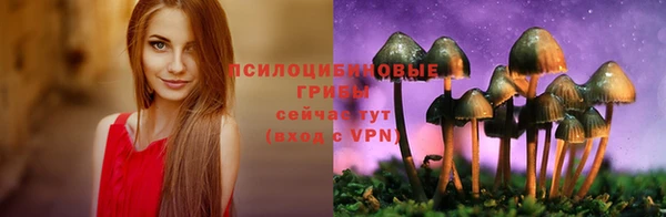 гидропоника Бугульма