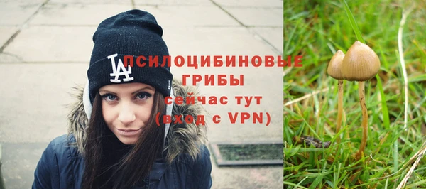 прущие грибы Верхнеуральск